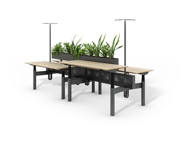 Edison Workbench by Watson