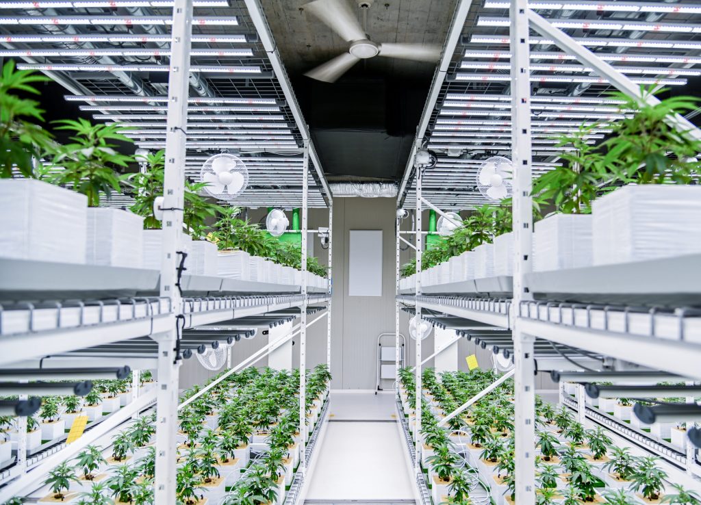 Montel Vertical Grow Rack Storage Solutions