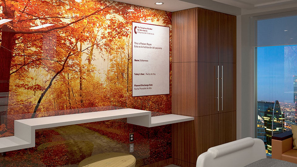 Patient Privacy - Never Stain or Ghost Glassboards by Clarus